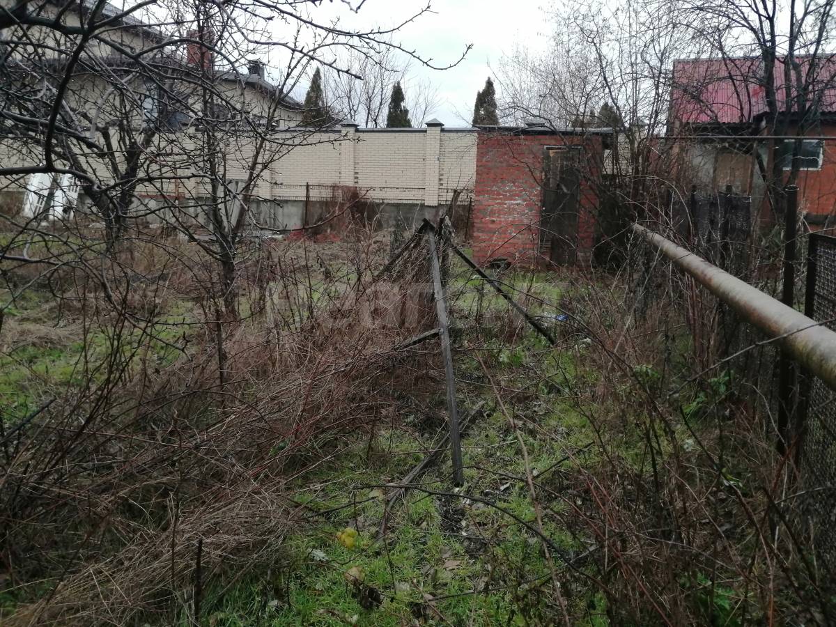 Фотография №5