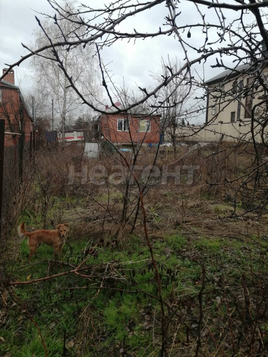 Фотография №6