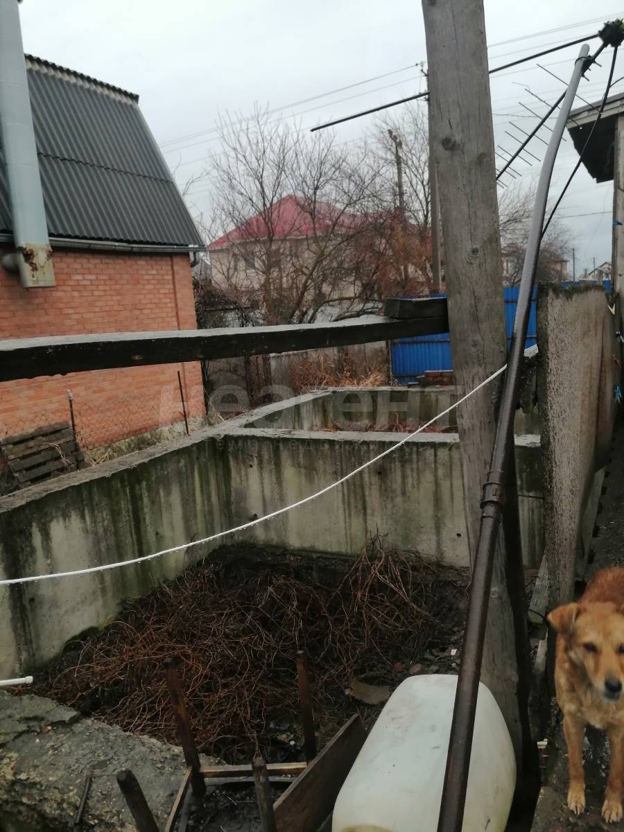 Фотография №7