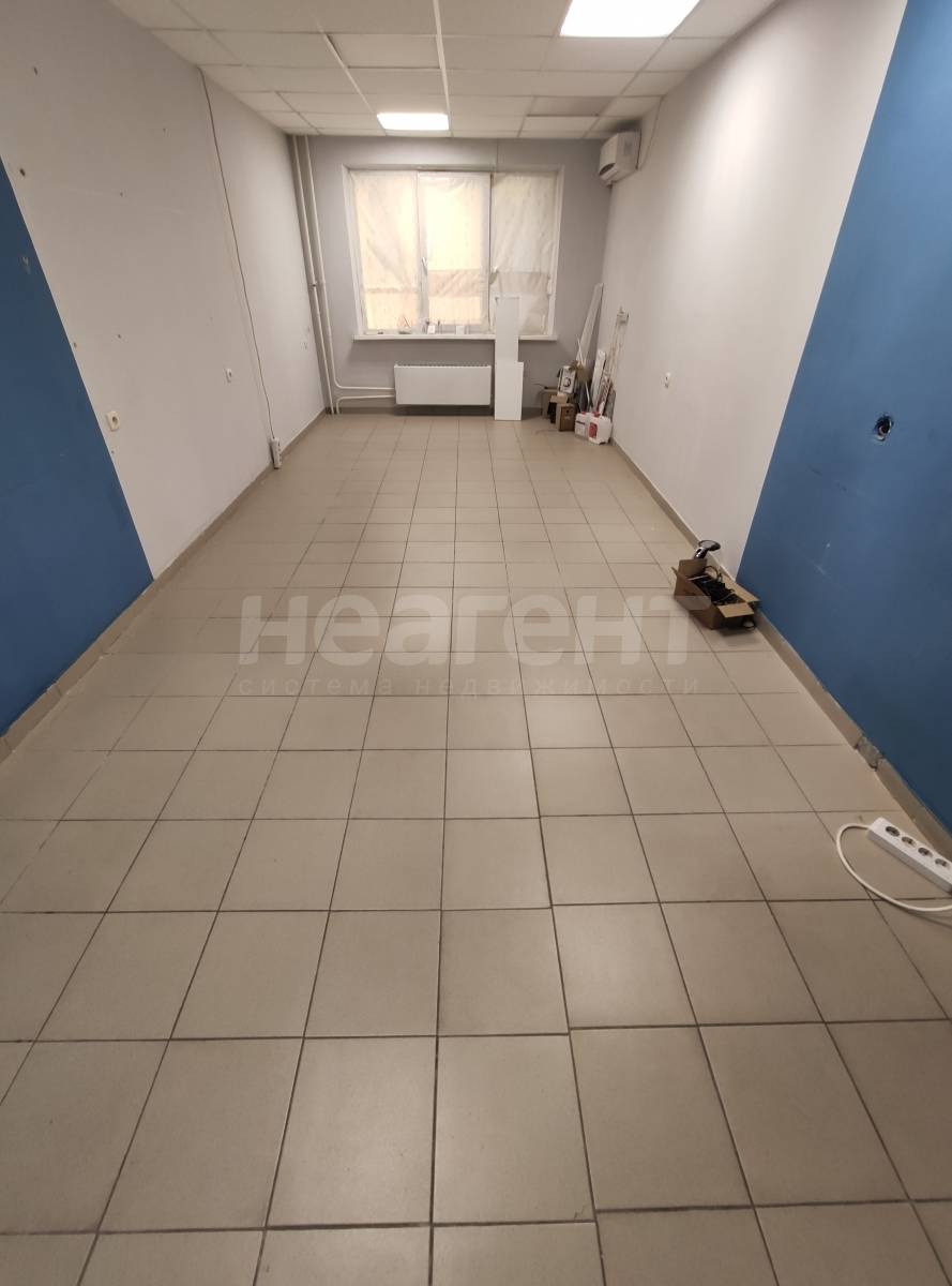 Фотография №10