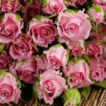 Продается Участок, 877 м²