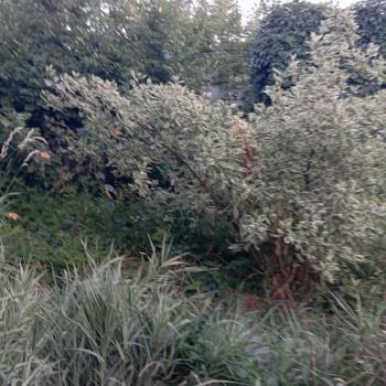 Продается Дом, 166 м²