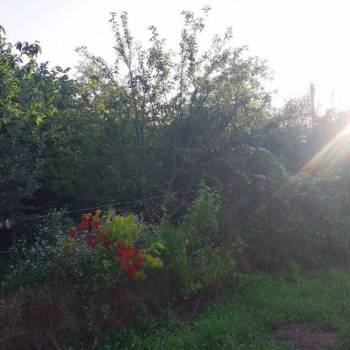 Продается Дом, 15 м²