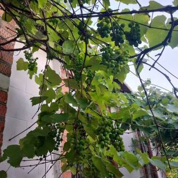 Продается Дом, 15 м²