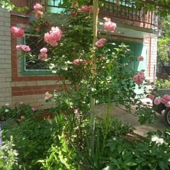 Продается Дом, 236 м²