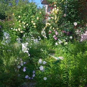 Продается Дом, 236 м²