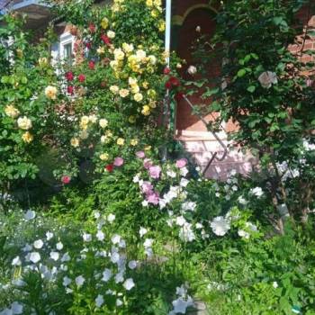 Продается Дом, 236 м²