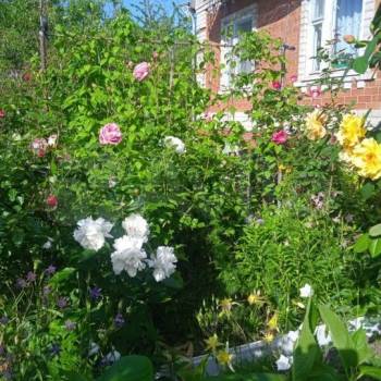 Продается Дом, 236 м²