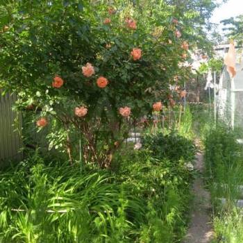 Продается Дом, 236 м²