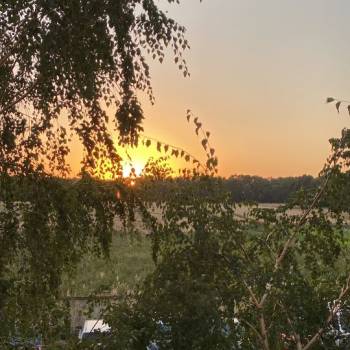 Сдается Многокомнатная квартира, 93 м²
