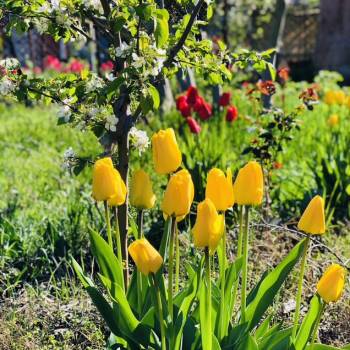 Продается Участок, 600 м²