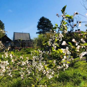 Продается Участок, 600 м²