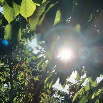 Продается Участок, 600 м²