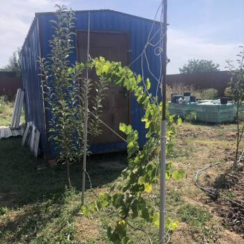 Продается Участок, 400 м²