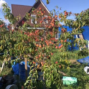 Продается Участок, 400 м²