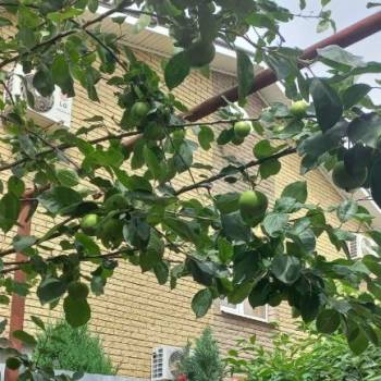 Продается Дом, 120 м²