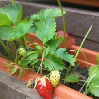 Продается Дом, 120 м²