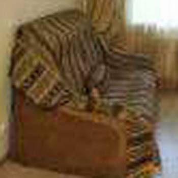 Продается 1-комнатная квартира, 24,7 м²