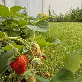 Продается Дом, 84 м²