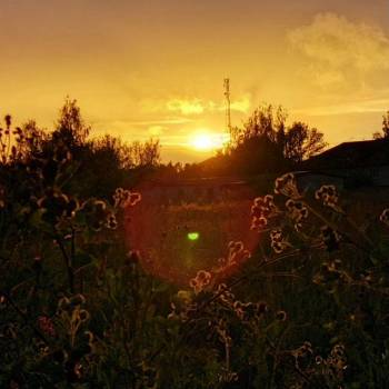 Продается Участок, 20000 м²