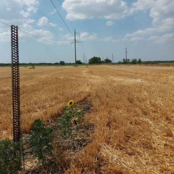 Продается Участок, 20000 м²