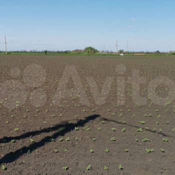 Продается Участок, 20000 м²