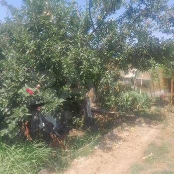 Продается Участок, 470 м²