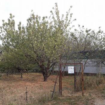 Продается Участок, 600 м²