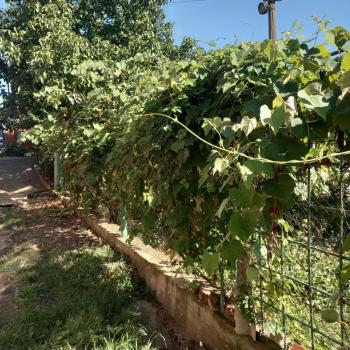 Продается Многокомнатная квартира, 100 м²