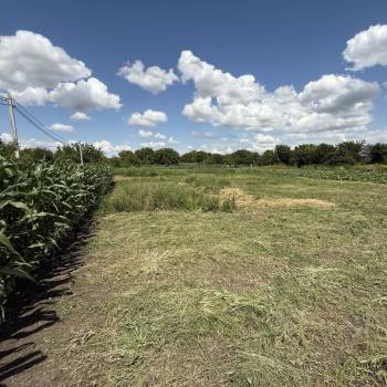 Продается Участок, 1000 м²