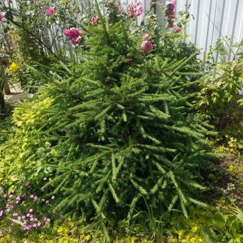 Продается Участок, 650 м²