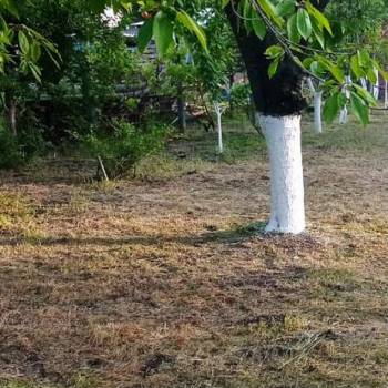 Продается Дом, 10 м²