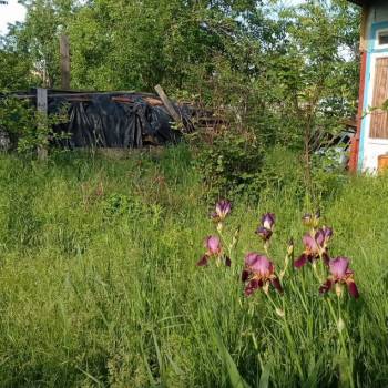 Продается Дом, 10 м²