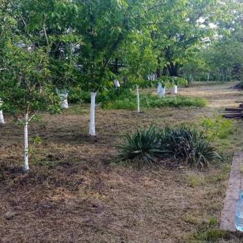 Продается Дом, 10 м²