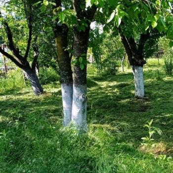 Продается Дом, 10 м²