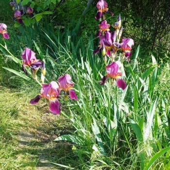 Продается Дом, 10 м²