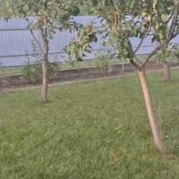 Продается Участок, 800 м²