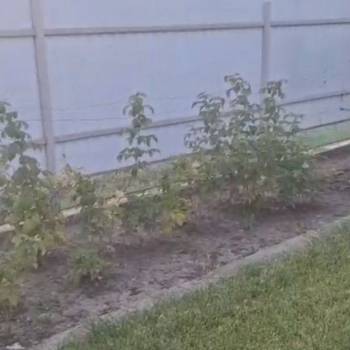 Продается Участок, 800 м²