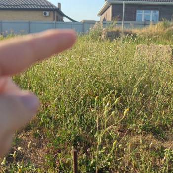 Продается Участок, 500 м²