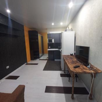 Сдается 1-комнатная квартира, 24,1 м²