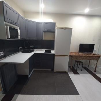 Сдается 1-комнатная квартира, 24,1 м²