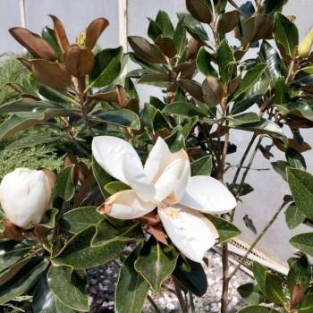 Продается Дом, 96 м²