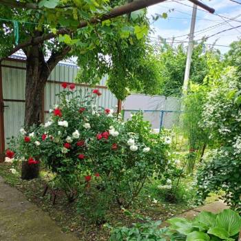 Продается Дом, 56,7 м²