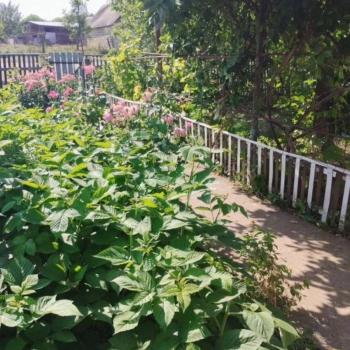 Продается Дом, 75 м²