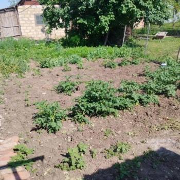 Продается Дом, 75 м²