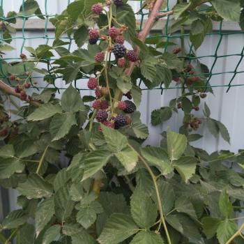 Продается Дом, 63 м²