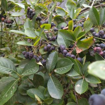 Продается Дом, 63 м²