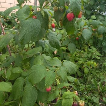 Продается Дом, 63 м²