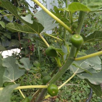 Продается Дом, 63 м²