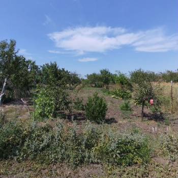 Продается Участок, 800 м²